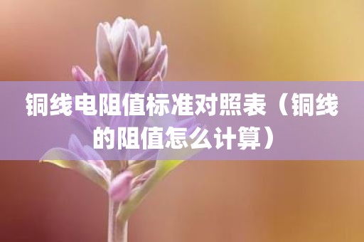 铜线电阻值标准对照表(铜线的阻值怎么计算)