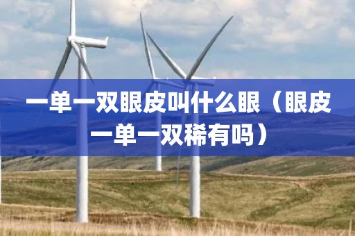 一单一双眼皮叫什么眼（眼皮一单一双稀有吗）