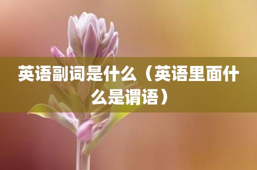 英语副词是什么（英语里面什么是谓语）
