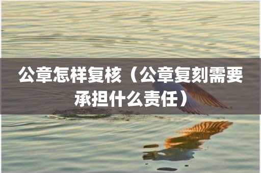 公章怎样复核（公章复刻需要承担什么责任）