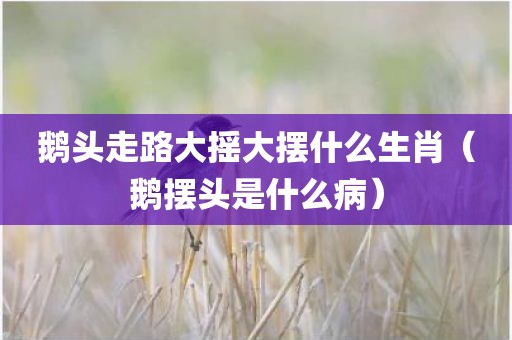 鹅头走路大摇大摆什么生肖（鹅摆头是什么病）