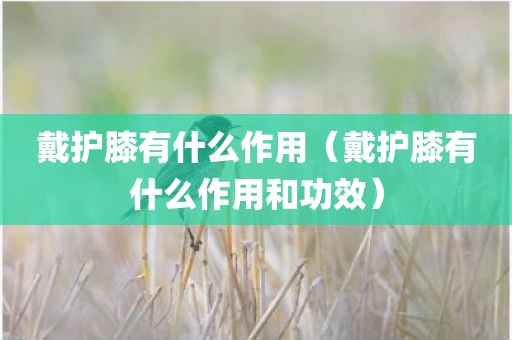 戴护膝有什么作用（戴护膝有什么作用和功效）