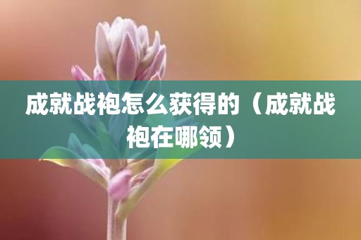 成就战袍怎么获得的（成就战袍在哪领）