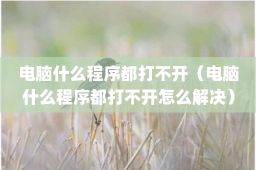 电脑什么程序都打不开（电脑什么程序都打不开怎么解决）