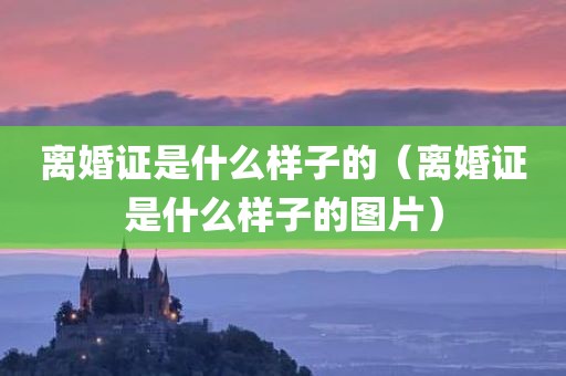 离婚证是什么样子的(离婚证是什么样子的图片)