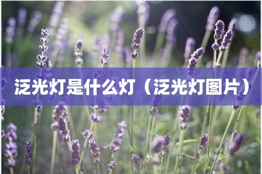泛光灯是什么灯（泛光灯图片）