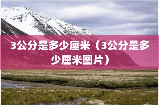 3公分是多少厘米（3公分是多少厘米图片）