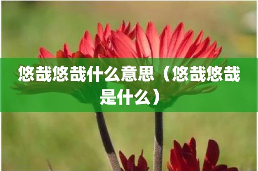 悠哉悠哉什么意思（悠哉悠哉是什么）