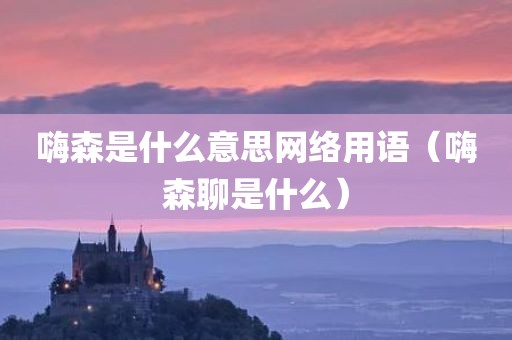 嗨森是什么意思网络用语（嗨森聊是什么）