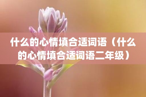 什么的心情填合适词语（什么的心情填合适词语二年级）
