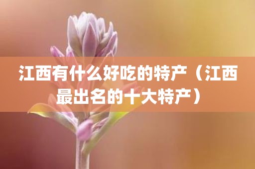 江西有什么好吃的特产（江西最出名的十大特产）