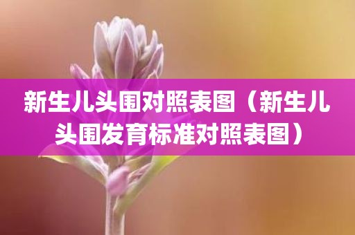 新生儿头围对照表图（新生儿头围发育标准对照表图）