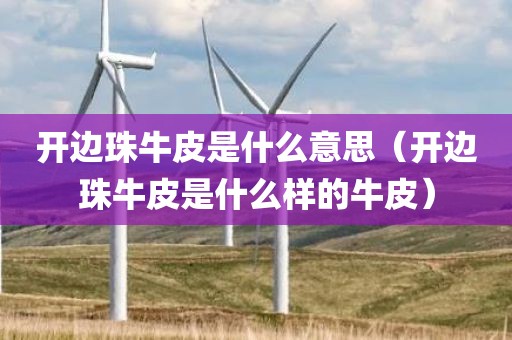 开边珠牛皮是什么意思（开边珠牛皮是什么样的牛皮）