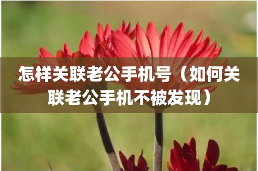 怎样关联老公手机号（如何关联老公手机不被发现）