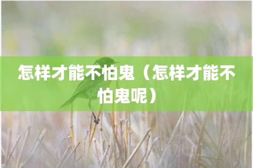 怎样才能不怕鬼（怎样才能不怕鬼呢）