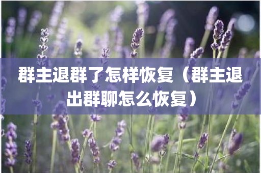群主退群了怎样恢复（群主退出群聊怎么恢复）