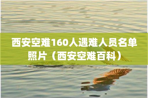 西安空难160人遇难人员名单照片（西安空难百科）