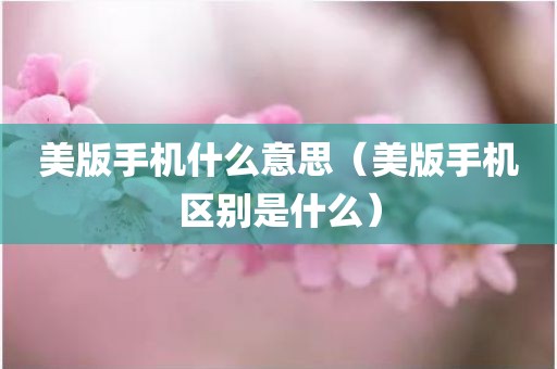 美版手机什么意思（美版手机区别是什么）