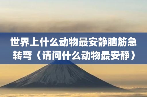 世界上什么动物最安静脑筋急转弯（请问什么动物最安静）