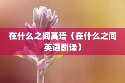 在什么之间英语（在什么之间英语翻译）