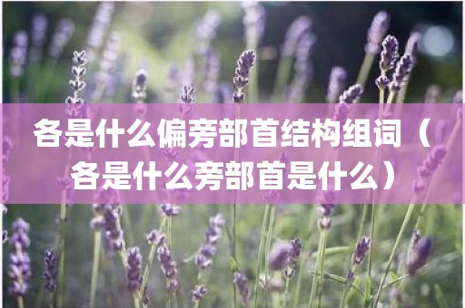 各是什么偏旁部首结构组词（各是什么旁部首是什么）