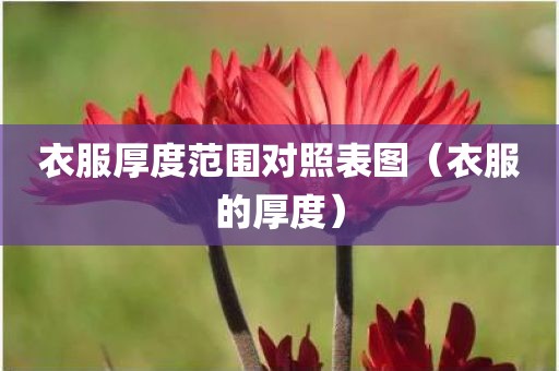 衣服厚度范围对照表图（衣服的厚度）
