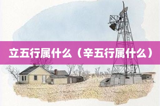 立五行属什么（辛五行属什么）