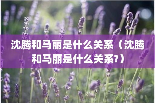 沈腾和马丽是什么关系(沈腾和马丽是什么关系?)