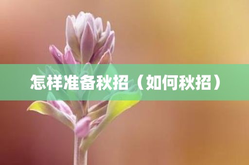 怎样准备秋招（如何秋招）