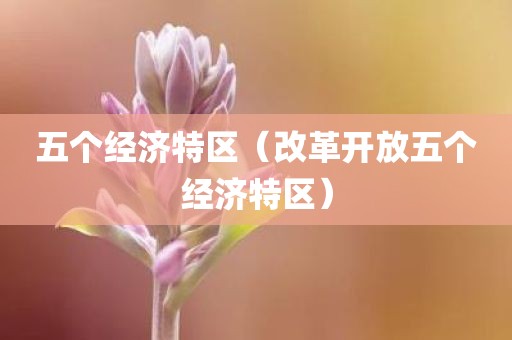 五个经济特区(改革开放五个经济特区)