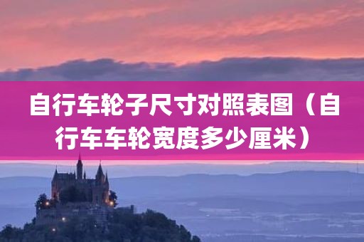 自行车轮子尺寸对照表图（自行车车轮宽度多少厘米）