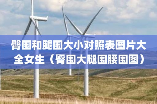 臀围和腿围大小对照表图片大全女生（臀围大腿围腰围图）