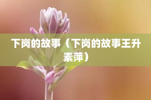 下岗的故事（下岗的故事王升素萍）