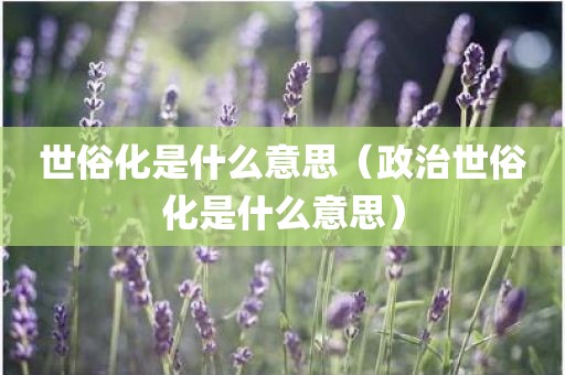 世俗化是什么意思（政治世俗化是什么意思）