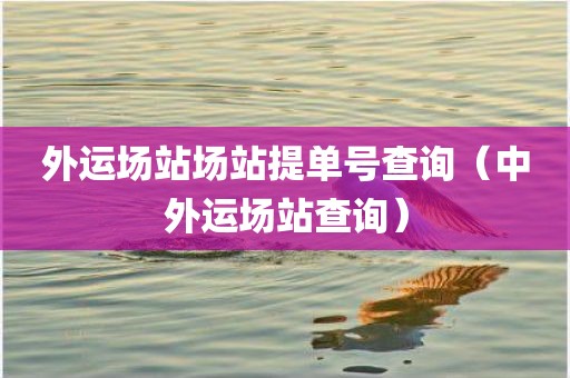 外运场站场站提单号查询（中外运场站查询）