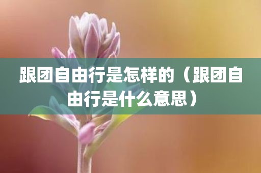 跟团自由行是怎样的（跟团自由行是什么意思）
