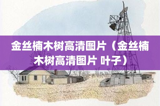 金丝楠木树高清图片（金丝楠木树高清图片 叶子）
