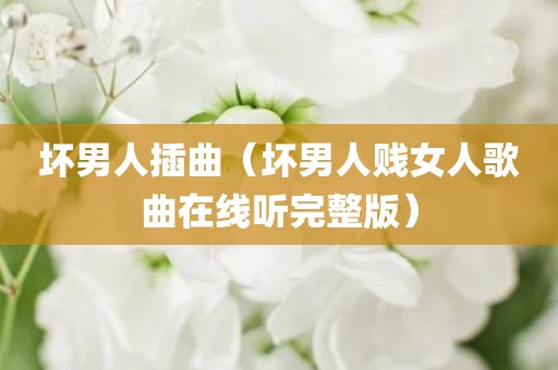 坏男人插曲（坏男人贱女人歌曲在线听完整版）