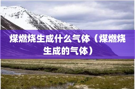 煤燃烧生成什么气体（煤燃烧生成的气体）