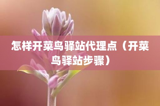 怎样开菜鸟驿站代理点（开菜鸟驿站步骤）