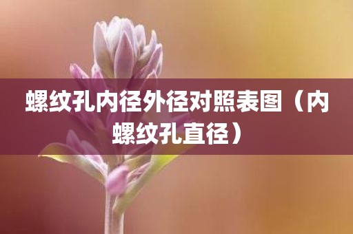 螺纹孔内径外径对照表图（内螺纹孔直径）