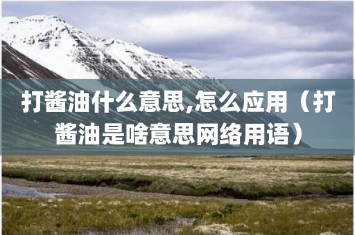 打酱油什么意思,怎么应用(打酱油是啥意思网络用语)