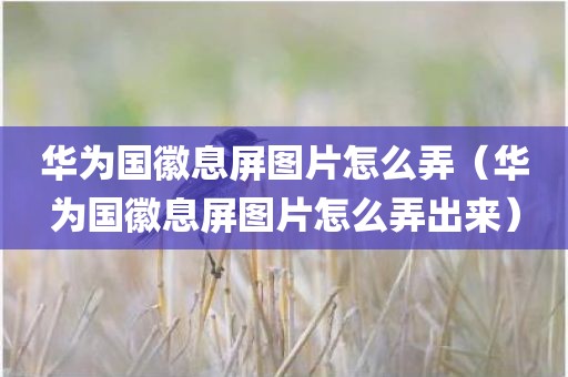 华为国徽息屏图片怎么弄（华为国徽息屏图片怎么弄出来）