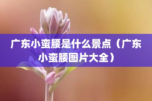广东小蛮腰是什么景点（广东小蛮腰图片大全）