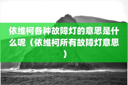 依维柯各种故障灯的意思是什么呢（依维柯所有故障灯意思）