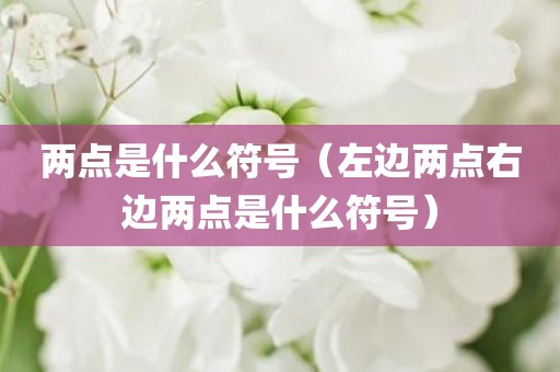 两点是什么符号（左边两点右边两点是什么符号）