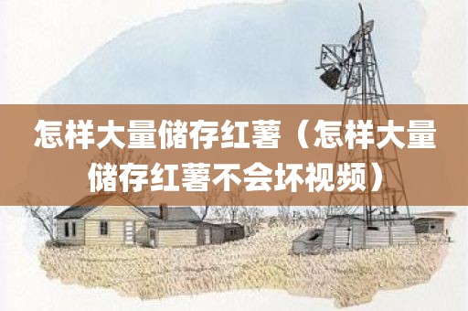 怎样大量储存红薯（怎样大量储存红薯不会坏视频）