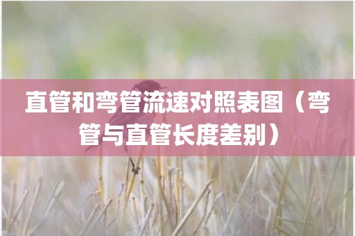 直管和弯管流速对照表图（弯管与直管长度差别）