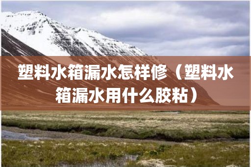 塑料水箱漏水怎样修(塑料水箱漏水用什么胶粘) 塑料水箱漏水怎样修(塑料水箱漏水用什么胶粘)