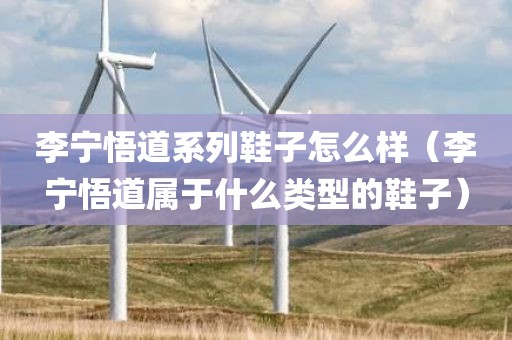 李宁悟道系列鞋子怎么样（李宁悟道属于什么类型的鞋子）